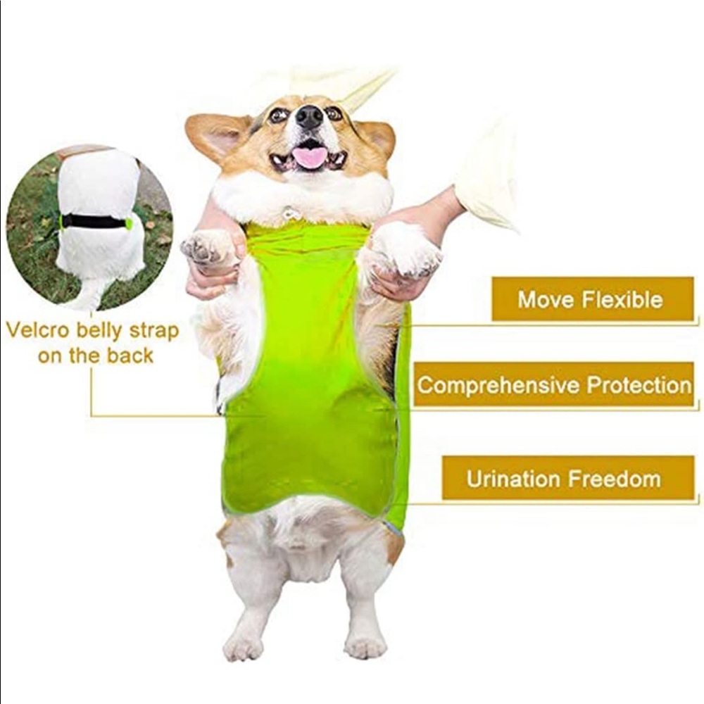 New Dog Raincoat, Lightweight - Picture 4 of 10